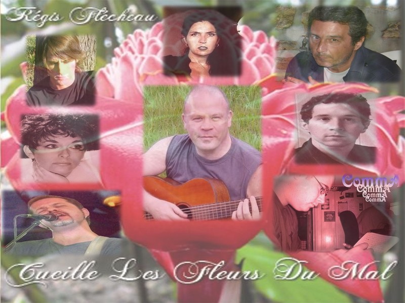 Montage-pub album `Cueille les Fleurs du Mal`